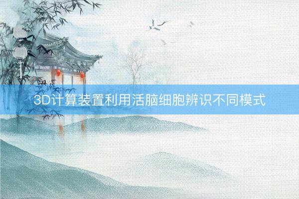3D计算装置利用活脑细胞辨识不同模式