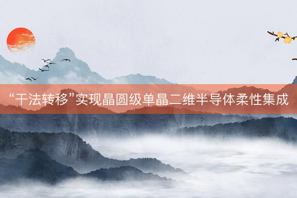 “干法转移”实现晶圆级单晶二维半导体柔性集成