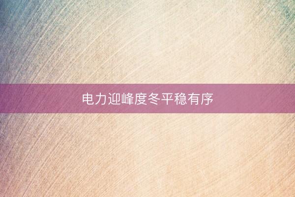 电力迎峰度冬平稳有序
