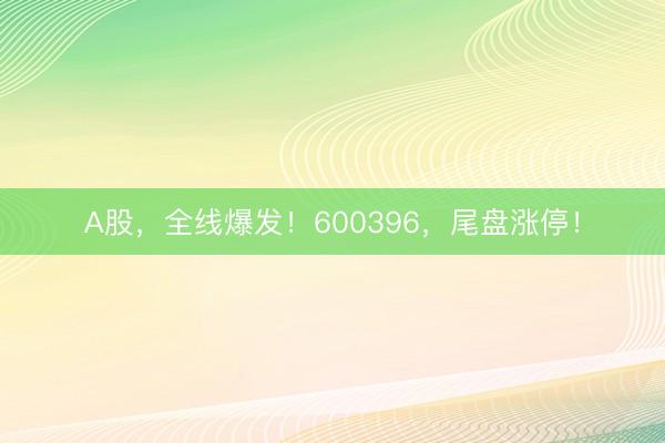 A股，全线爆发！600396，尾盘涨停！