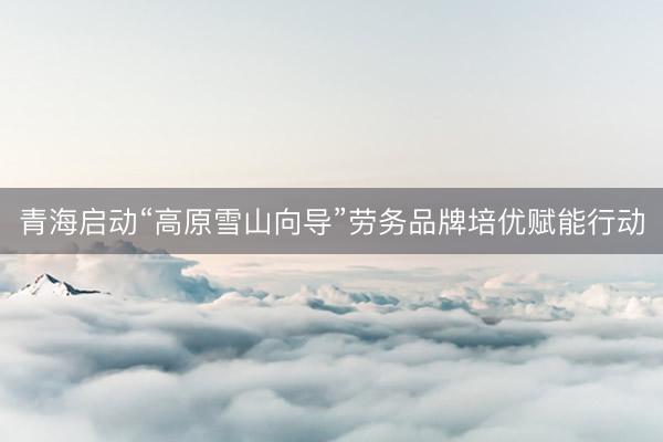 青海启动“高原雪山向导”劳务品牌培优赋能行动