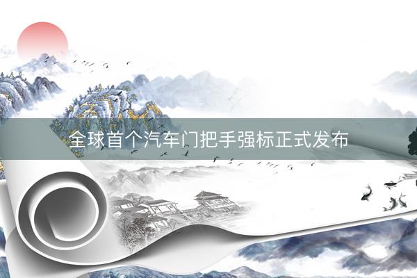 全球首个汽车门把手强标正式发布