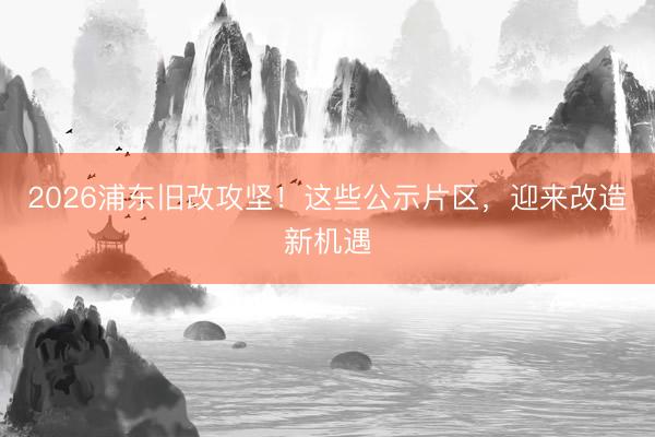 2026浦东旧改攻坚！这些公示片区，迎来改造新机遇