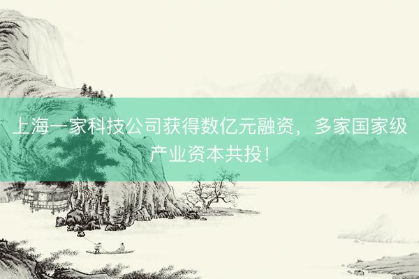 上海一家科技公司获得数亿元融资，多家国家级产业资本共投！