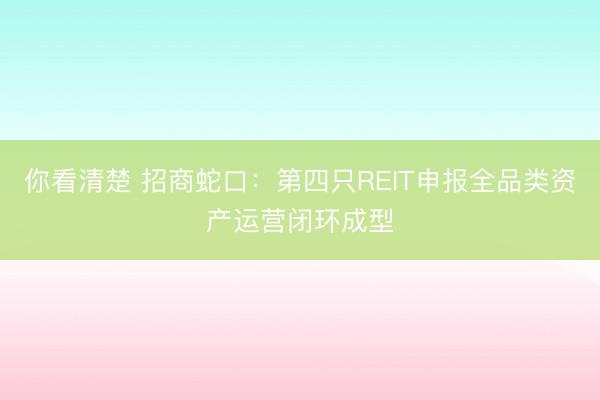 你看清楚 招商蛇口：第四只REIT申报全品类资产运营闭环成型