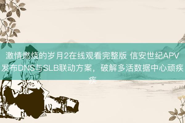 激情燃烧的岁月2在线观看完整版 信安世纪APV发布DNS与SLB联动方案，破解多活数据中心顽疾