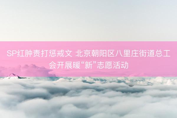 SP红肿责打惩戒文 北京朝阳区八里庄街道总工会开展暖“新”志愿活动