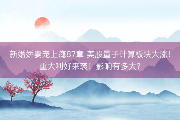 新婚娇妻宠上瘾87章 美股量子计算板块大涨！重大利好来袭！影响有多大？