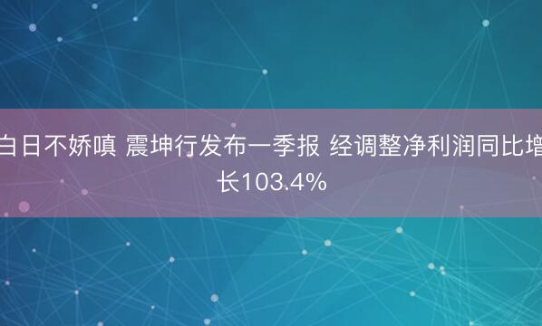 白日不娇嗔 震坤行发布一季报 经调整净利润同比增长103.4%
