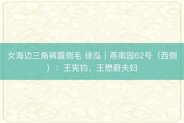 女海边三角裤露侧毛 徐泓｜燕南园62号（西侧）：王宪钧、王懋蔚夫妇