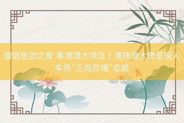 僧侣色欲之夜 粤港澳大湾区｜港珠澳大桥呈现人车货“三向齐增”态势