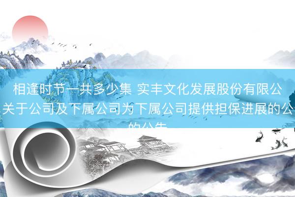 相逢时节一共多少集 实丰文化发展股份有限公司关于公司及下属公司为下属公司提供担保进展的公告