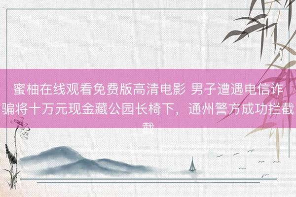 蜜柚在线观看免费版高清电影 男子遭遇电信诈骗将十万元现金藏公园长椅下，通州警方成功拦截