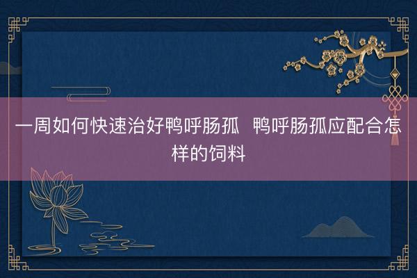 一周如何快速治好鸭呼肠孤  鸭呼肠孤应配合怎样的饲料