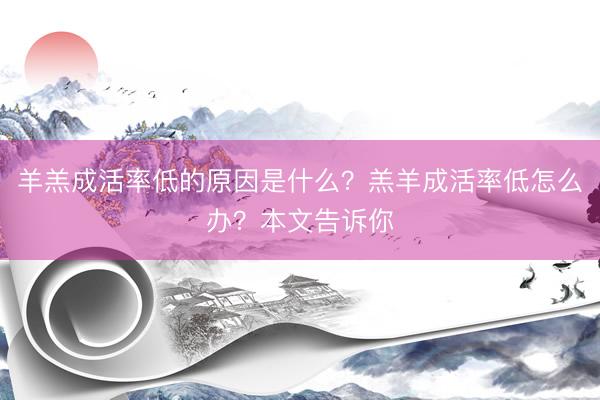 羊羔成活率低的原因是什么？羔羊成活率低怎么办？本文告诉你
