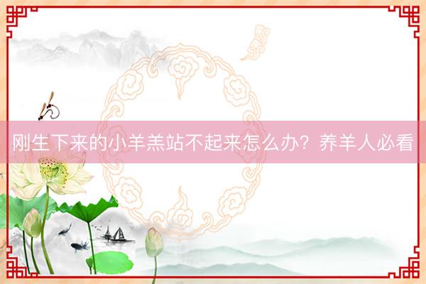 刚生下来的小羊羔站不起来怎么办？养羊人必看