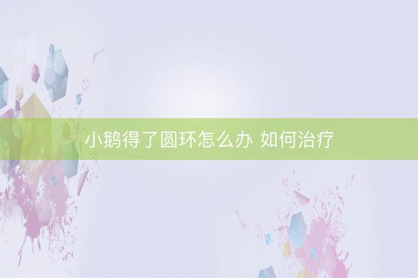 小鹅得了圆环怎么办 如何治疗