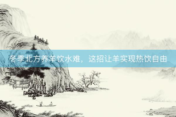 冬季北方养羊饮水难，这招让羊实现热饮自由
