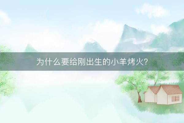 为什么要给刚出生的小羊烤火?