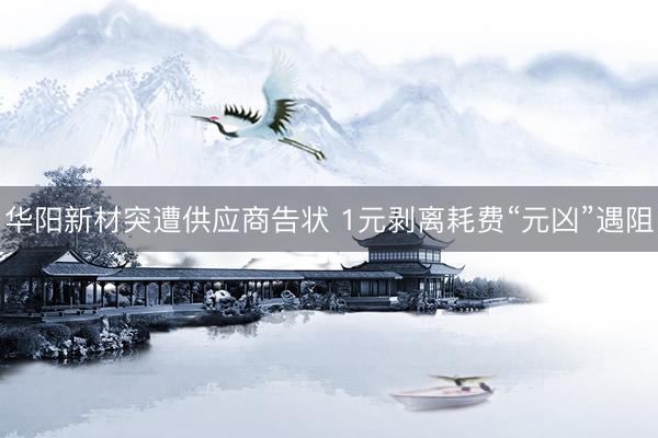 华阳新材突遭供应商告状 1元剥离耗费“元凶”遇阻