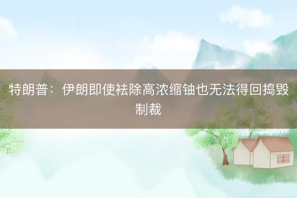 特朗普：伊朗即使袪除高浓缩铀也无法得回捣毁制裁