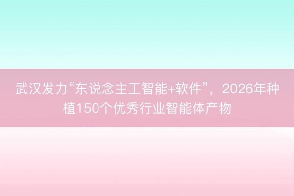 武汉发力“东说念主工智能+软件”，2026年种植150个优秀行业智能体产物