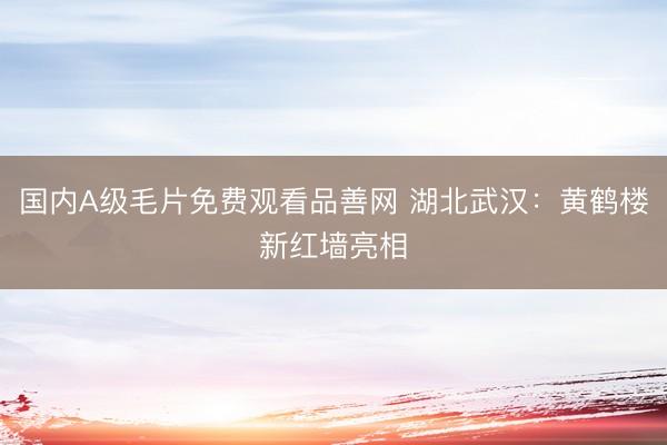 国内A级毛片免费观看品善网 湖北武汉：黄鹤楼新红墙亮相