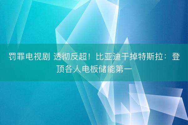 罚罪电视剧 透彻反超！比亚迪干掉特斯拉：登顶各人电板储能第一