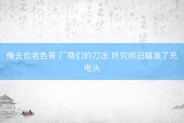俺去也老色哥 厂商们的刀法 终究照旧瞄准了充电头