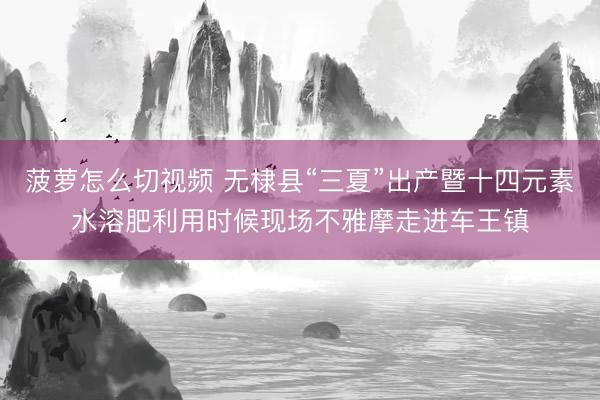 菠萝怎么切视频 无棣县“三夏”出产暨十四元素水溶肥利用时候现场不雅摩走进车王镇