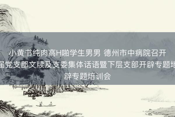 小黄书纯肉高H啪学生男男 德州市中病院召开新一届党支部文牍及支委集体话语暨下层支部开辟专题培训会