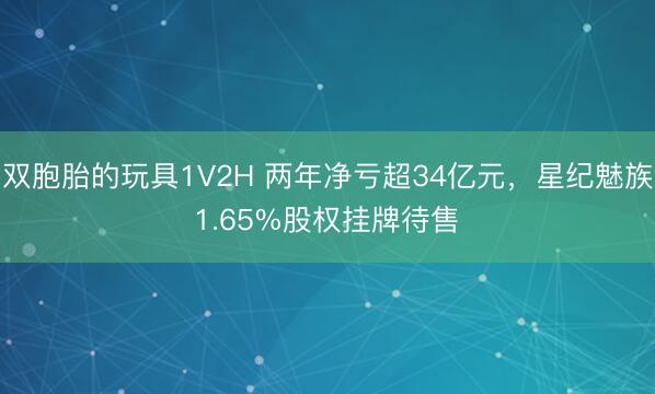 双胞胎的玩具1V2H 两年净亏超34亿元，星纪魅族1.65%股权挂牌待售‌