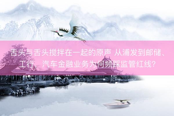 舌头与舌头搅拌在一起的原声 从浦发到邮储、工行，汽车金融业务为何频踩监管红线？