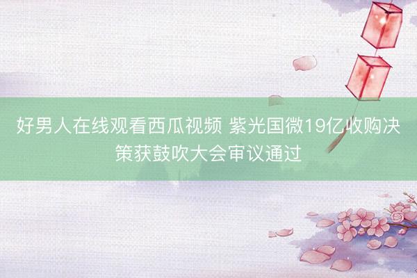 好男人在线观看西瓜视频 紫光国微19亿收购决策获鼓吹大会审议通过