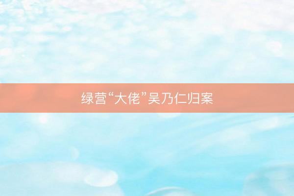 绿营“大佬”吴乃仁归案