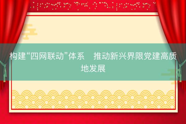 构建“四网联动”体系   推动新兴界限党建高质地发展